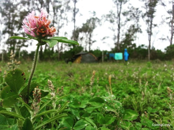 IMG_20171012_212923_731-001