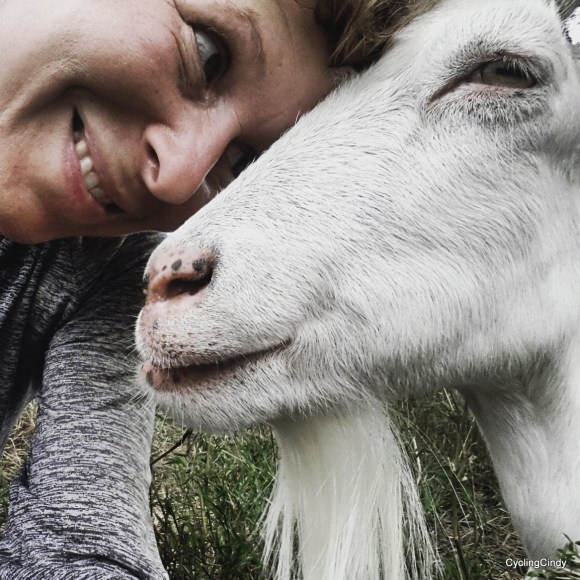 019-IMG_20171204_205752_980