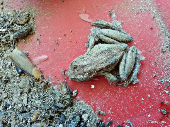 044-PicsArt_12-08-08.47.44