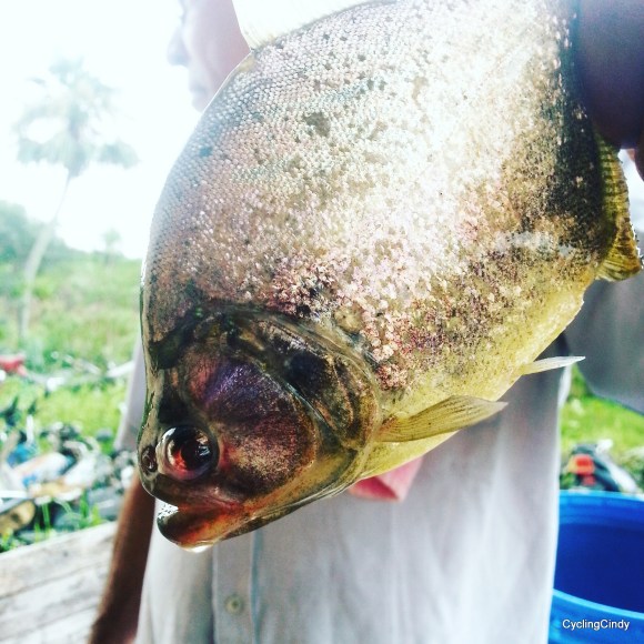 10-IMG_20171117_200448_761