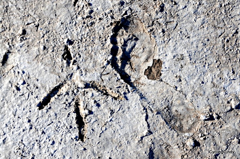 2018-24-07-20-49-44