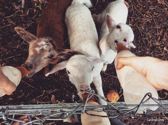 done 001-IMG_20171128_192406_726