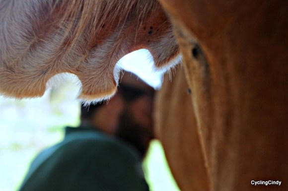 done 2017-09-12-17-54-26