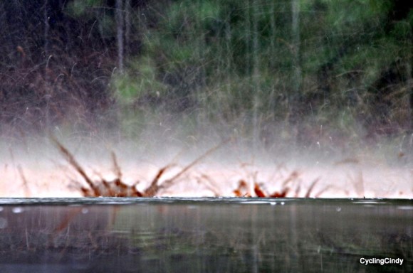 done 2018-06-08-21-35-51