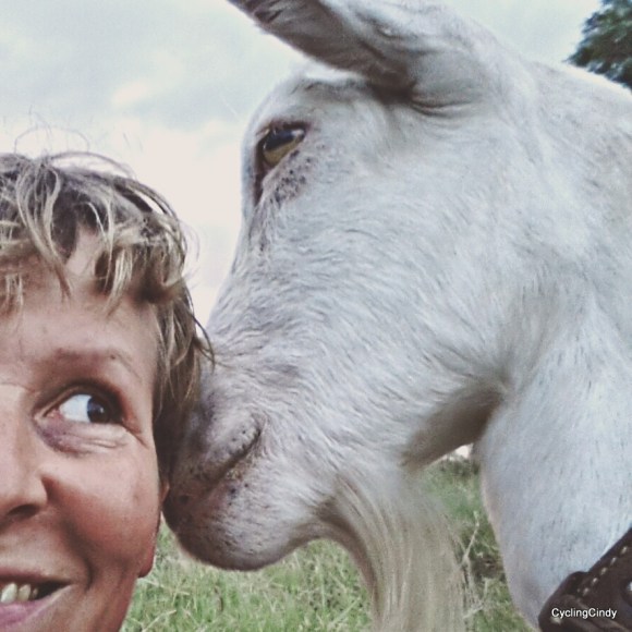 done003-IMG_20171201_220653_703