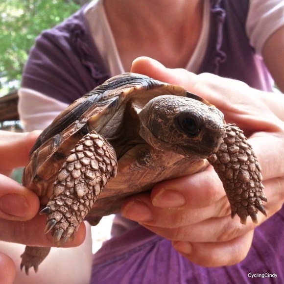 done014-PicsArt_12-03-08.14.13