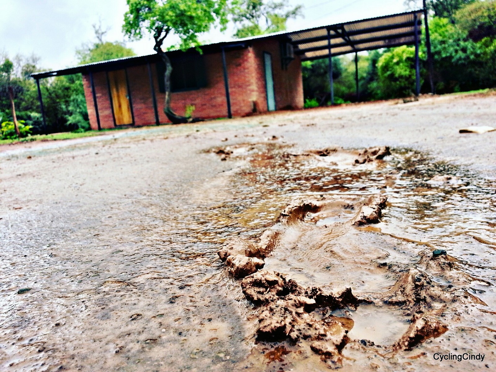 done017-PicsArt_12-04-11.07.22