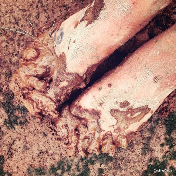 done018-IMG_20171204_210257_224