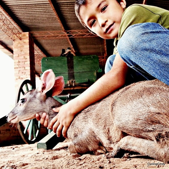 done031-IMG_20171206_141431_053