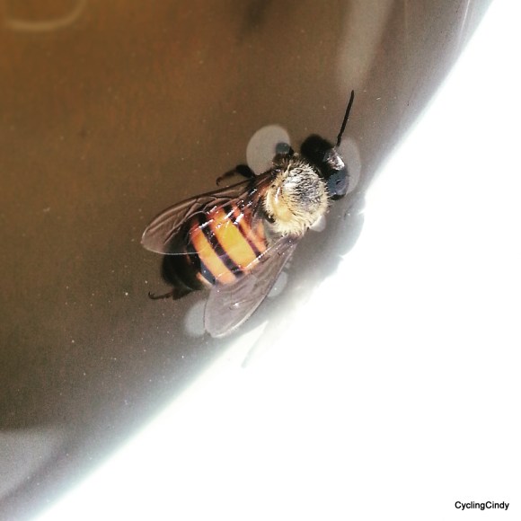 done070-IMG_20171219_221932_780