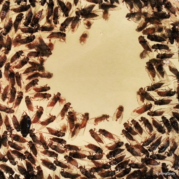 done079-IMG_20171222_215412_526