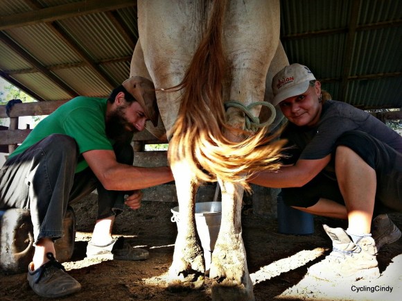 done080-PicsArt_12-22-09.13.00