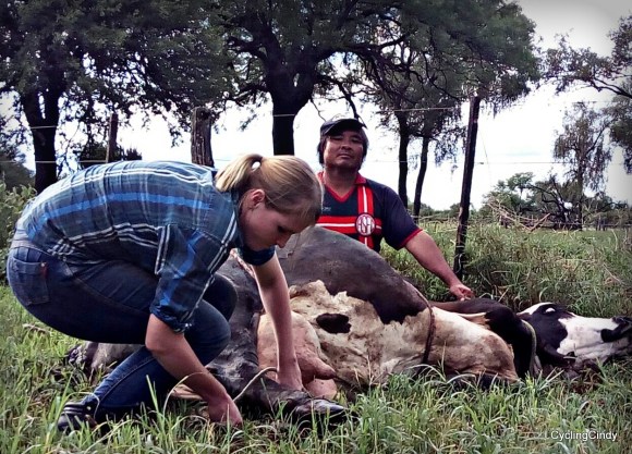 done084-PicsArt_12-22-09.42.22