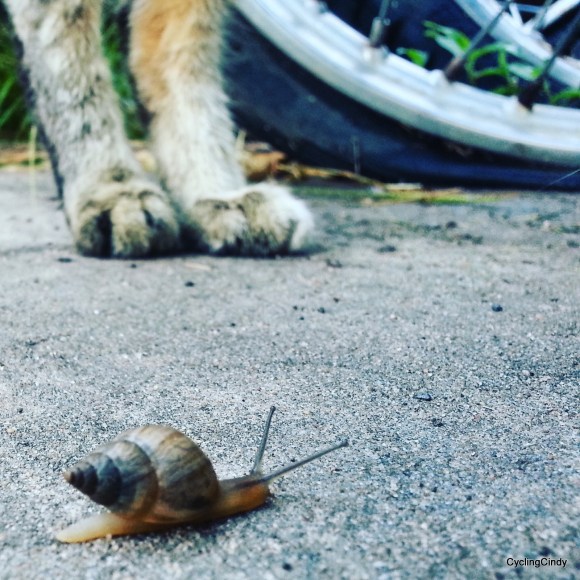 done11-IMG_20171119_203444_312