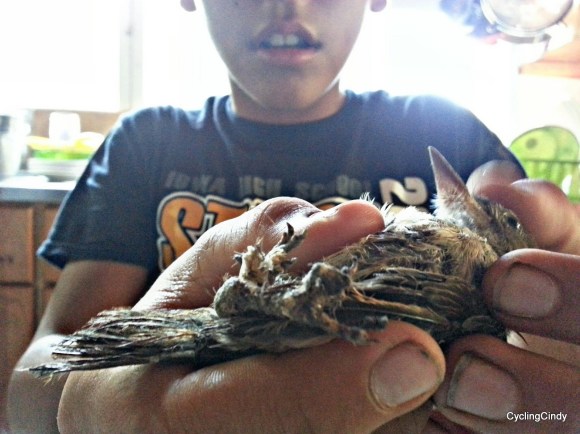 done135-PicsArt_02-12-02.12.07