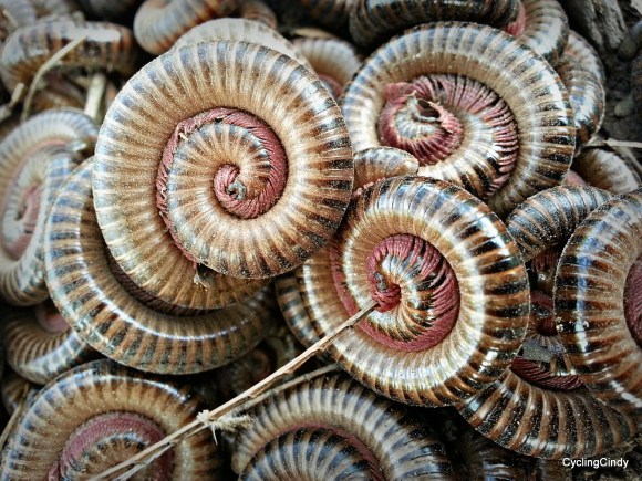 done15-PicsArt_12-04-09.27.04