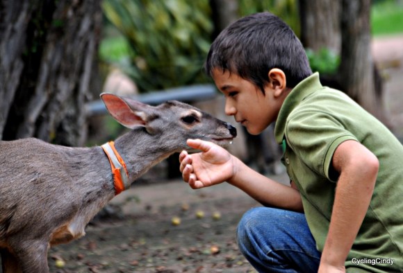 done2017-06-12-18-22-44