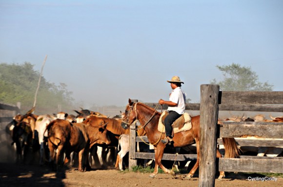 done2017-14-12-21-16-28