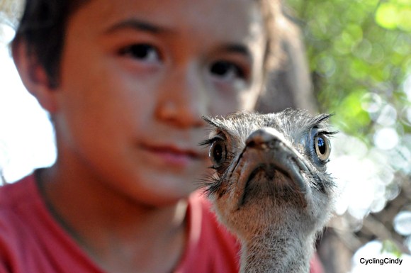 done2017-15-12-21-07-36