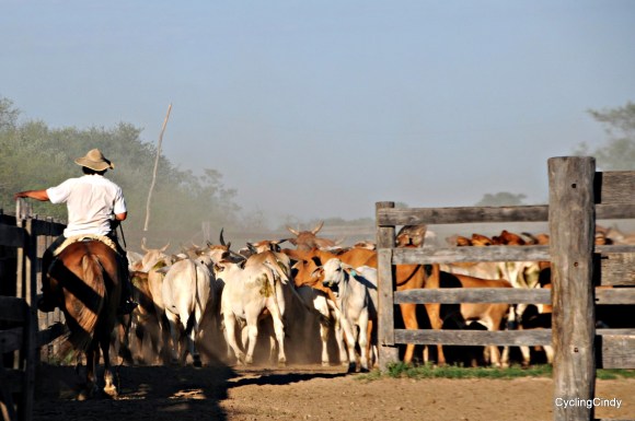 done2017-15-12-21-11-24