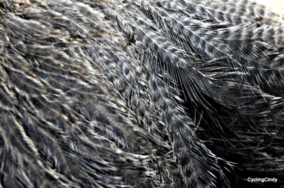 done2018-07-08-20-29-32