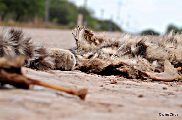 done2018-11-07-19-12-29