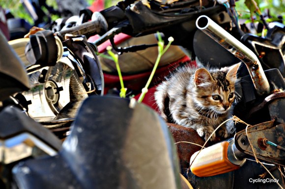 done2018-15-07-22-36-28