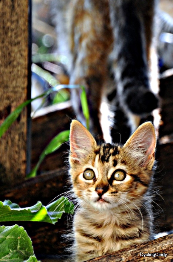 done2018-15-07-22-37-50