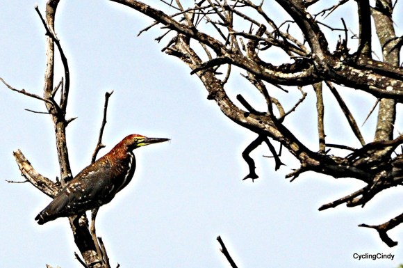 done2018-15-07-22-40-03