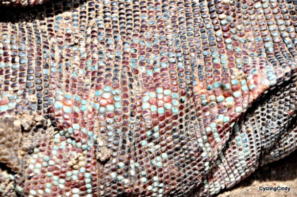 done2018-15-07-22-49-59