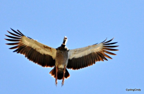 done2018-15-07-23-09-17