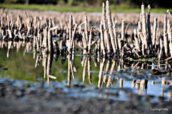 done2018-24-07-20-48-52