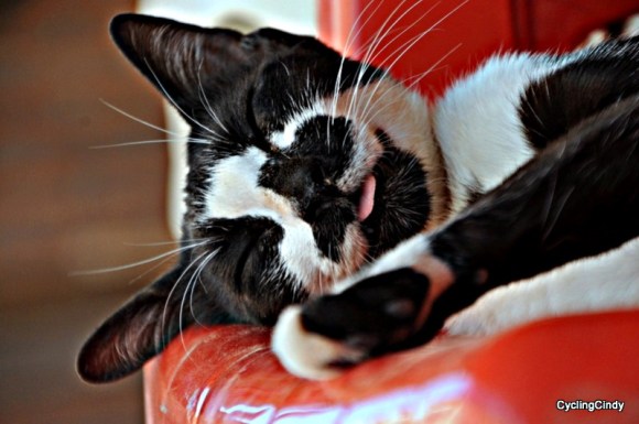 done2018-24-07-20-57-31