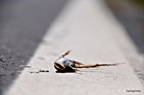 done2018-24-07-21-21-00