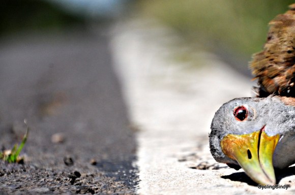 done2018-24-07-21-24-33