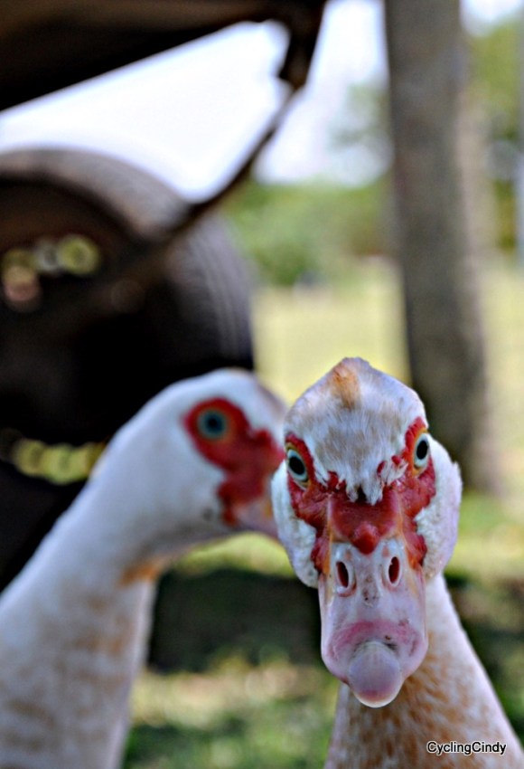 done2018-25-07-14-49-20