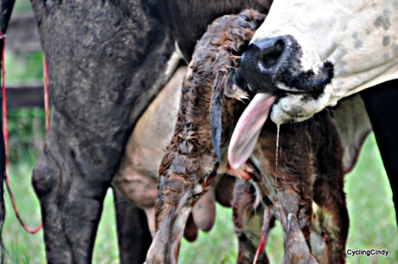 done2018-26-08-12-45-37