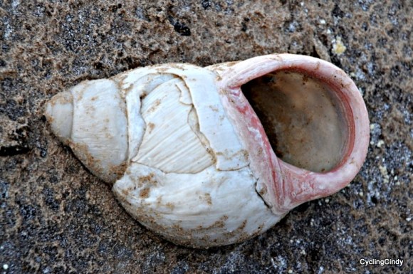 done2018-29-07-21-20-55 - Copy