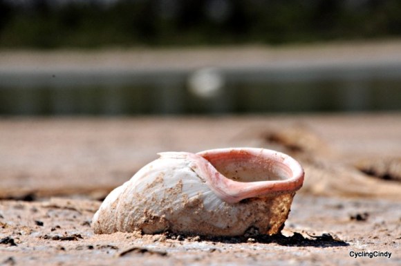 done2018-29-07-21-21-29