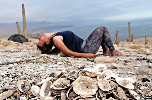 41428032_2668371586722370_5485338226778439680_n