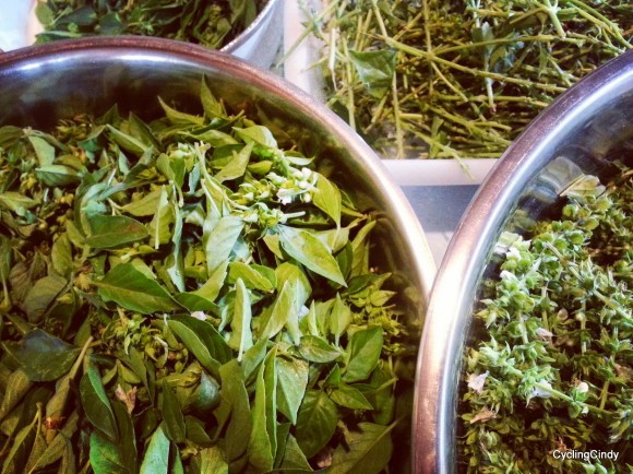 done027-IMG_20171205_165218_060