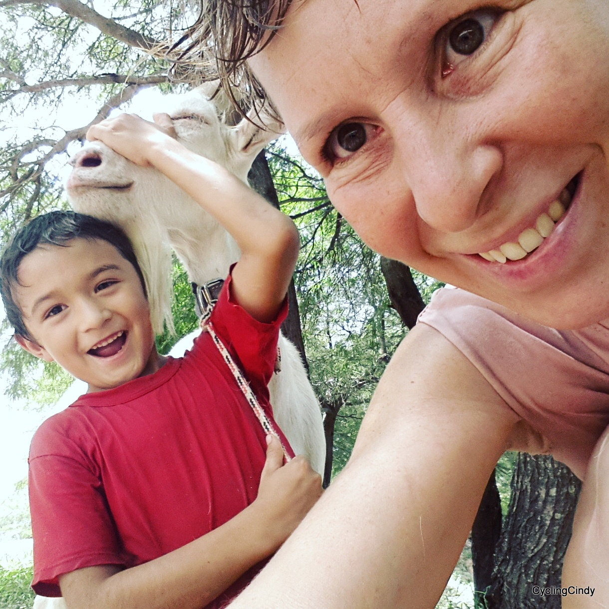 done050-IMG_20171211_150303_648