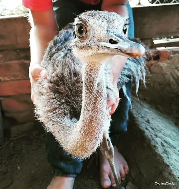 done053-IMG_20171213_154222_217