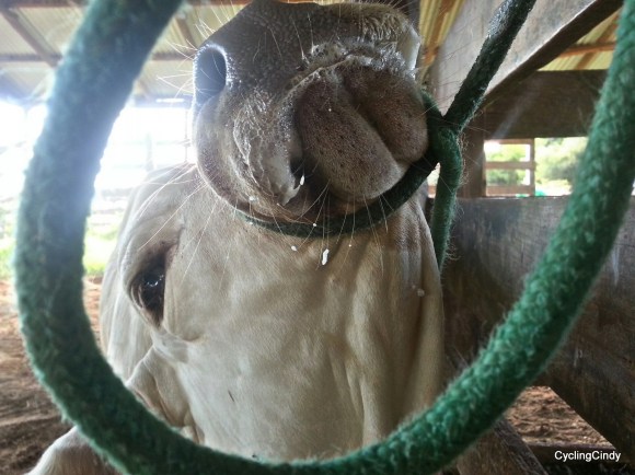 done069-PicsArt_12-20-03.41.52