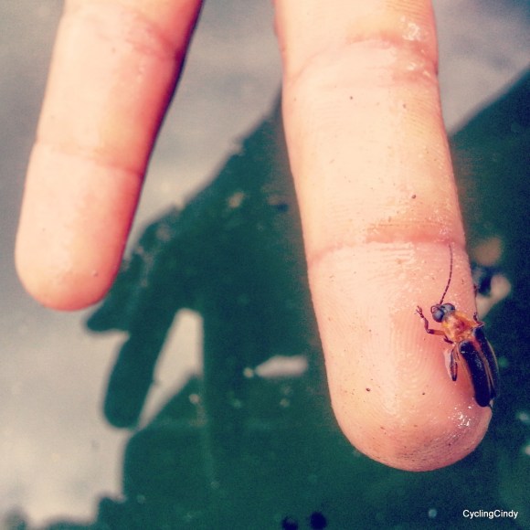 done072-IMG_20171220_214429_895