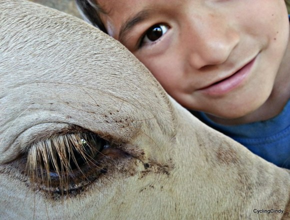 done074-PicsArt_12-20-09.32.50