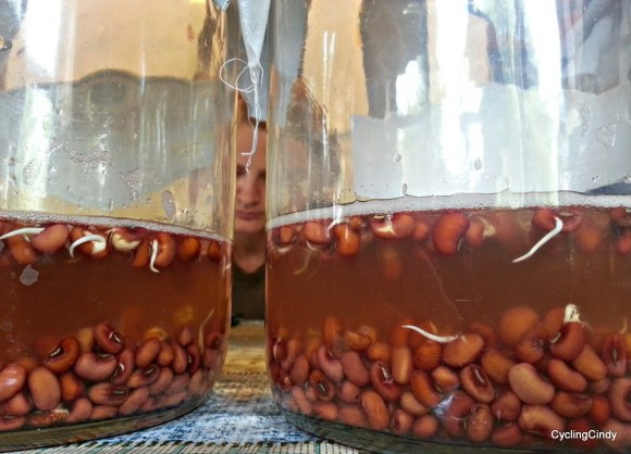 done111-PicsArt_01-11-08.07.39