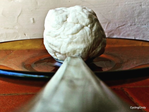 done115-IMG_20180419_180826_406