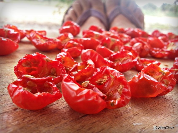 done144-PicsArt_02-12-09.45.27