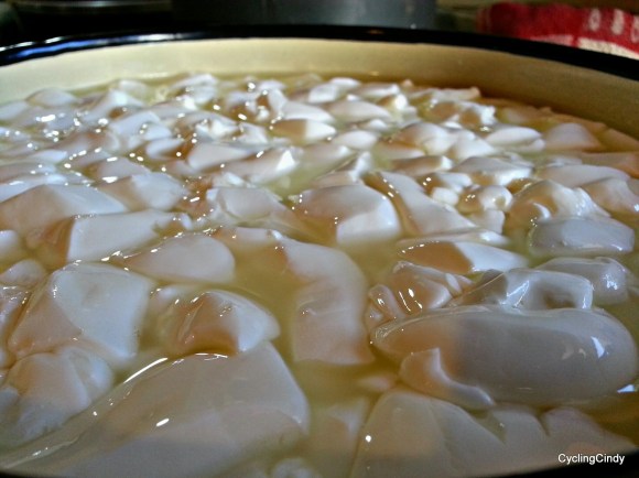 done171-PicsArt_02-18-09.30.47